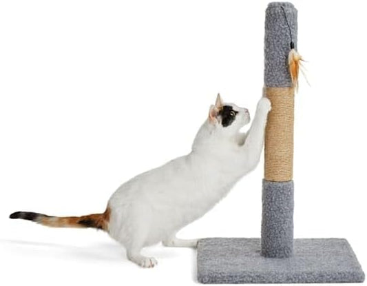 EveryYay by Petco Essentials Scratchin' The Surface Post with Scratcher Cat Toy, Grey, 26"