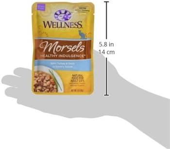 Wellness Natural Pet Food Healthy Indulgence Grain Free Wet Cat Food, Morsels Turkey and Duck, 3 Ounce (Pack of 24)