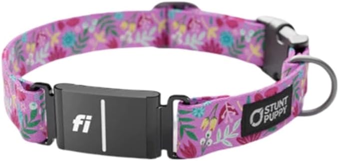 Stunt Puppy Dog Collar, Fi Series 3 and 3+ Ready, Frolic Summer, X-Large - Compatible with Fi GPS Device (Not Included)
