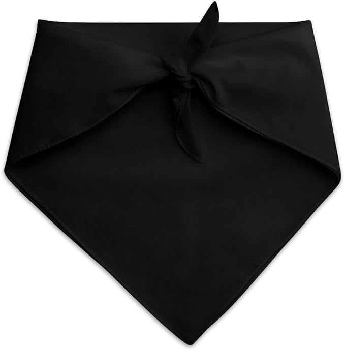 GRAPHICS & MORE are You Kitten Me Right Meow Cat Dog Pet Bandana