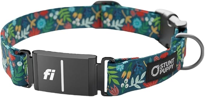 Stunt Puppy Dog Collar, Fi Series 3 and 3+ Ready, Frolic Fall, X-Large - Compatible with Fi GPS Device (Not Included)