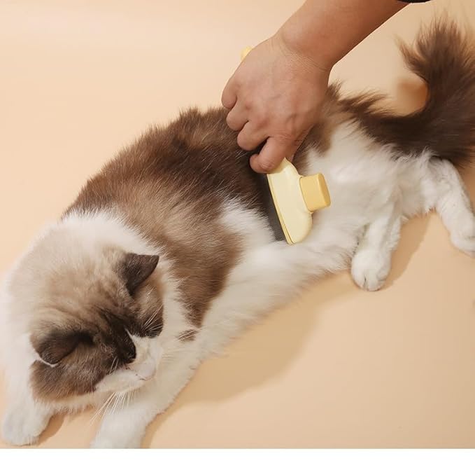 2pcs Cat Lice Comb Pet Hair Removal Tool Cat Brush For Indoor Cats, Self-Clean Pet Comb, Flea Comb Brush For Shedding