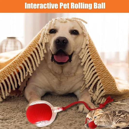 2025 New Electric Dog Ball Toy,360° Smart Automatic Interactive Rolling Ball, Smart Pet Toy,Interactive Dog Toys,Gift for Kids(Blue)