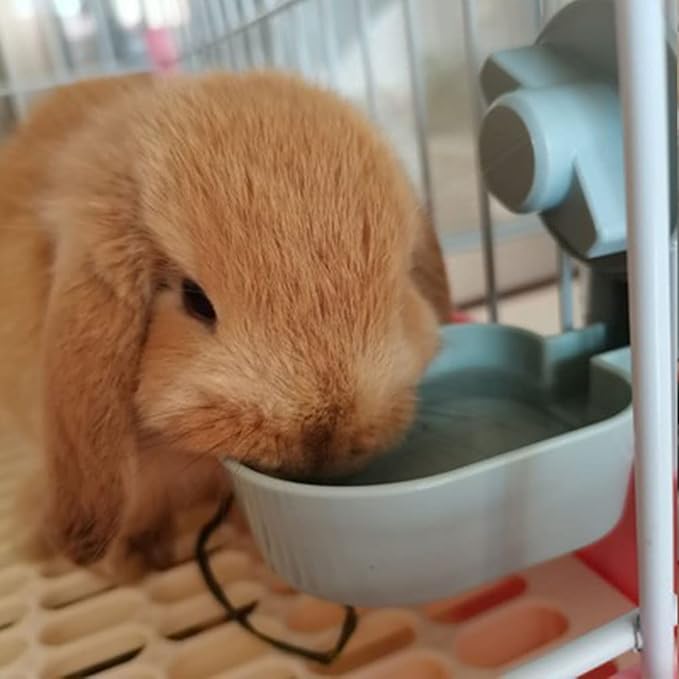 Oncpcare 17oz Bunny Water Bottle No Drip for Cage, Hanging Automatic Water Dispenser for Small Animal Guinea Pig Hamster Chinchilla Ferret Rabbit