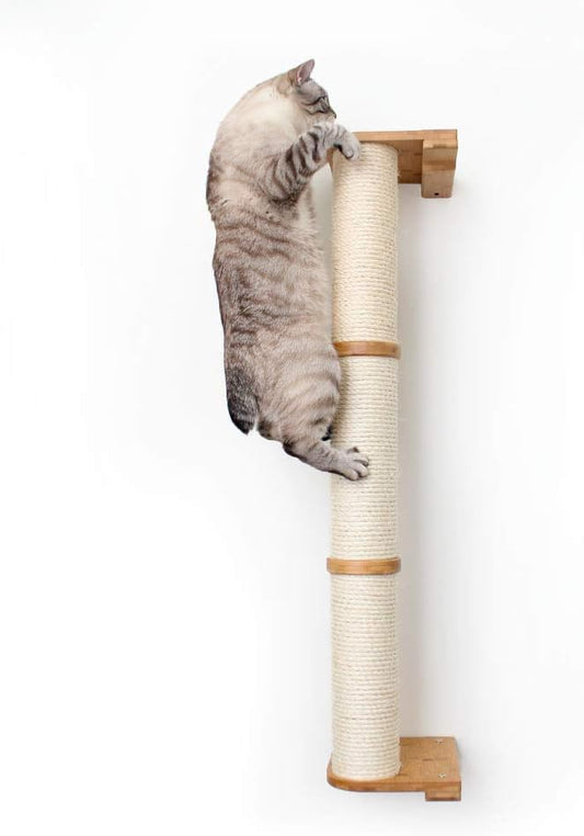 CatastrophiCreations 3-Tier Sisal Climbing Pole, English Chestnut Bamboo, one Size