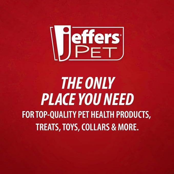 Jeffers Pet Plush Bone Dog Toy with Squeakers, Pink Bunny, 14" H - Durable & Interactive Chew & Fetch Toy for Puppies, Soft Stuffed Pet Toy for Tug, Games, Indoor & Outdoor Fun