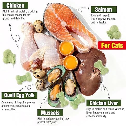 Freeze Dried Cat Dog Treats Salmon Chicken Natural Healthy Chicken Chewy Crunch Cats Snacks for All Breeds