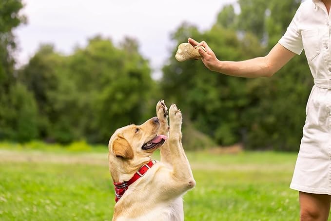 Coffee Wood Toys for Dog - Gorilla Chew, Natural Dog Bone Alternative, Durable, Long Lasting (M (Single))