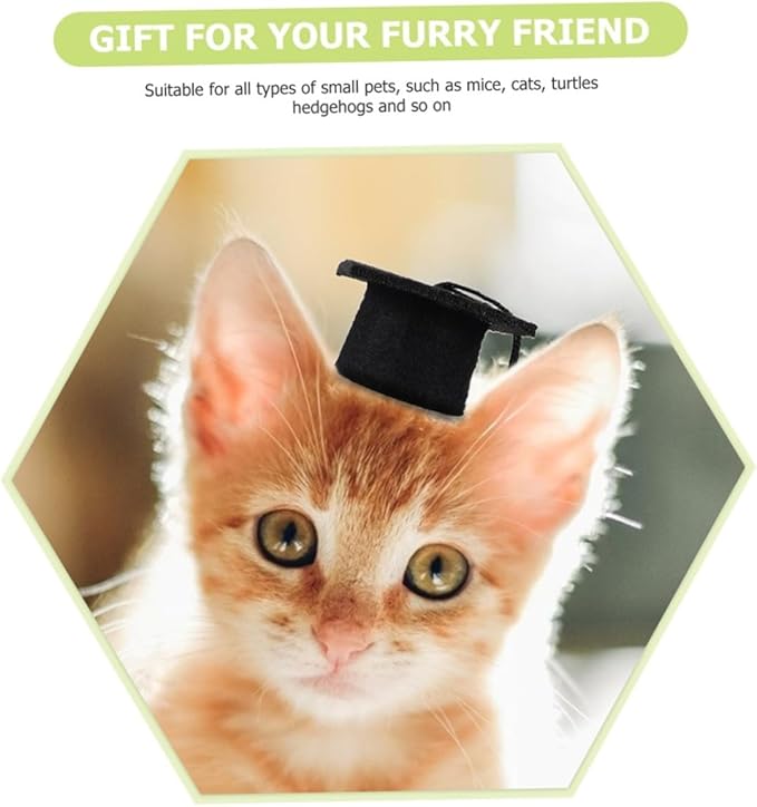 SHINEOFI 2pcs Adjustable Black Tassel Doctoral Caps Elastic Graduation Hat for Dogs, Creative Pet Party Supply and Decorative Graduation Costume Accessories