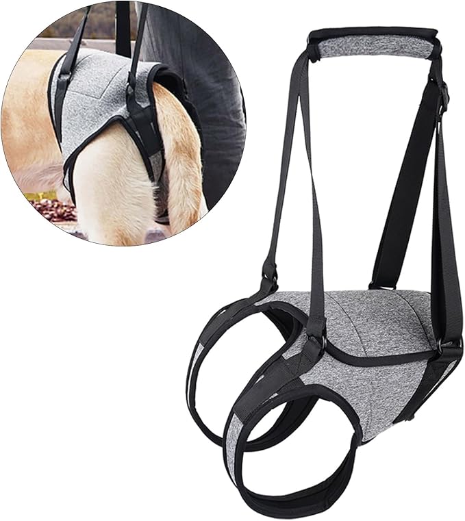 Dog for Large Dogs Back Lift Harness for Injured Elderly Dogs Disabled Pet Supplies for Back Legs Accessories