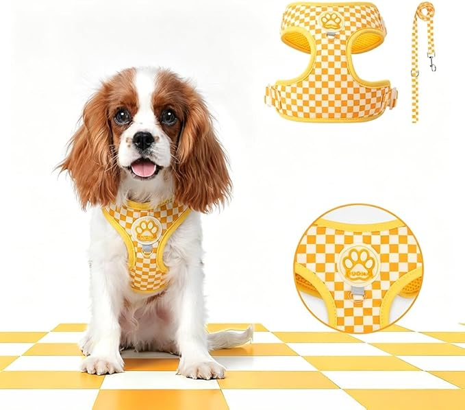 Dog Harness Small Sized and Leash Set,Plaid Comfort Padded Vest, Step in Dog Harness, Soft Breathable Pet Supplies, for Small and Medium Dogs Safe Easy Walking