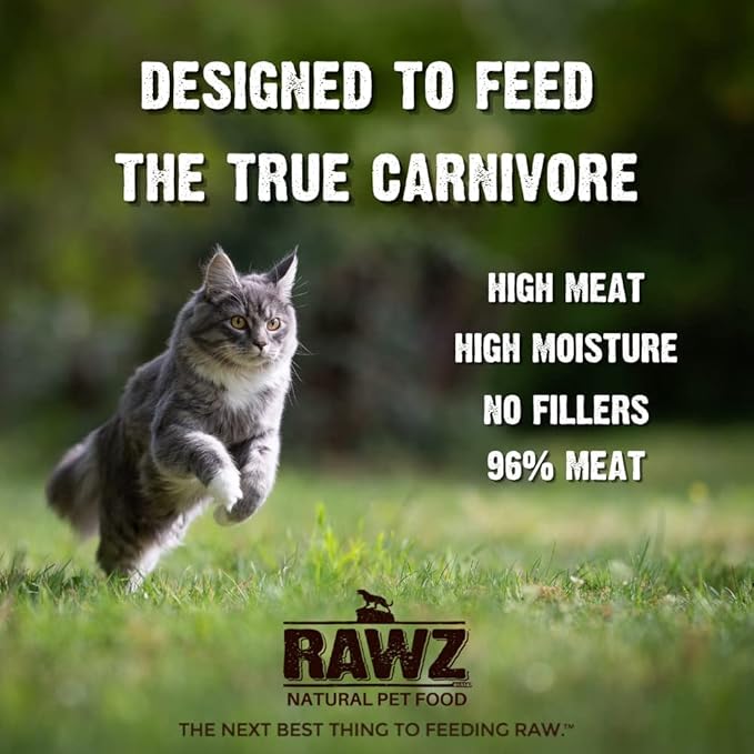 Rawz Natural Premium Pate Canned Cat Wet Food - Made with Real Meat Ingredients No BPA or Gums -3 oz Cans (Case Pack of 18) (Salmon)