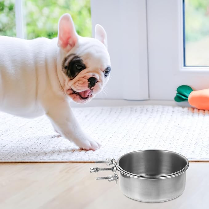 Milisten 2pcs Stainless Steel Dog Food Bowl and Cat Feeding Dish, Large Capacity Anti-Spill Design, Removable Bowls for Home Use, 10x4.5cm 12x5cm Pet Feeding Supplies