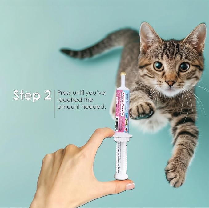 Oral Paste for Dogs & Cats-Helps Reduce Occasional Loose Stool & Diarrhea, Balance Gut pH, Support Normal Digestion & Intestinal Flora-Fast Acting (15 CC - Tasty Chicken Flavor) - 2 Pack