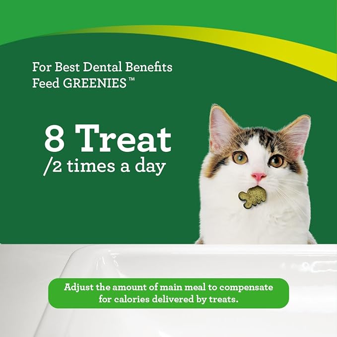 Greenies Cat Treats, Feline Veterinarian-Recommended Adult Natural Dental Treats, Catnip Flavor, 2.1 oz. Pouch