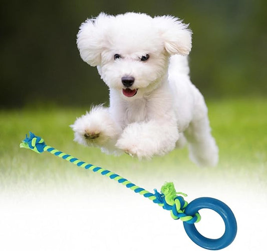 Interactive Dog Tug Toy Pets Supplies with Rings Exercise Playing Running Dog Rope Toy for Kitten Outdoor Lawn Cleaning, Blue