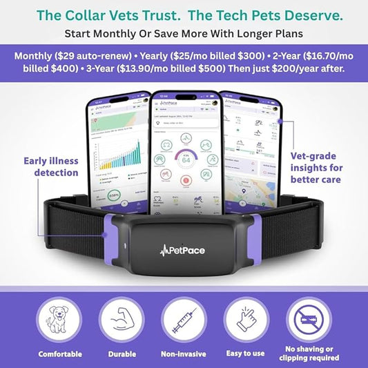 V3.0 Dog Health Monitor – AI Health Collar with 24/7 Vital Signs Tracks Pain GPS, Telehealth AskaVet & Share with Your Vet & Apple Watch Sync – Subscription Required (Medium)