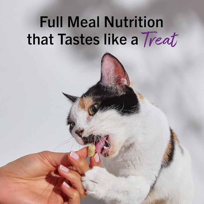 Stella & Chewy's Freeze-Dried Raw Cat Dinner Morsels - Premium Duck & Goose Recipe with 98% Cage-Free Poultry & Organs - Natural Grain-Free Cat & Kitten Food - Made in USA - 8 oz