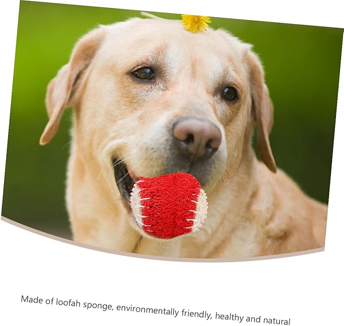 DOITOOL 2pcs Dog Tennis Balls for Dogs Pet Chew Natural Loofah Material Sturdy Puppy Chewing Training Supplies Interactive Outdoor Play Random Color