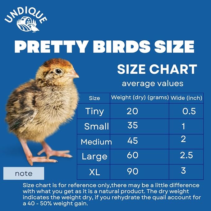 Undique Whole Quail for Carnivore Pets - Natural Prey Feeding - Quality Protein Source Medium Size Chicks 5 Count