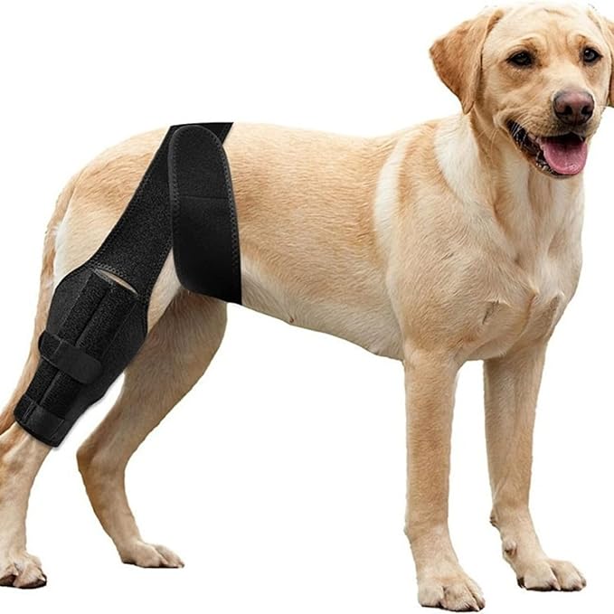 Dog Leg Knee Pads pet Supplies Dog Leg Injury Assistance with Anti Licking Recovery Bandage Protective Cover