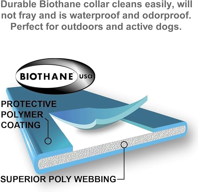 Educator PF-1000-BK E-Fence Underground Fence Containment System for Dogs Installed by You with Boundary Kit