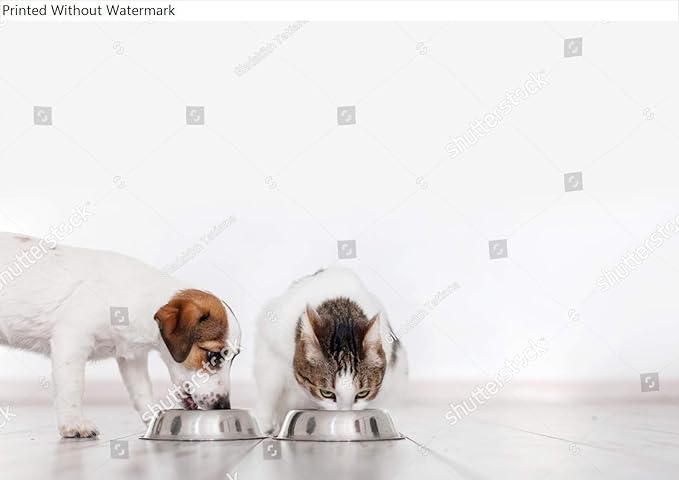 HardPress Wall Art Poster Print of Dog and Cat Eating Food. Puppy Eating Dogs Food. Pets at Home