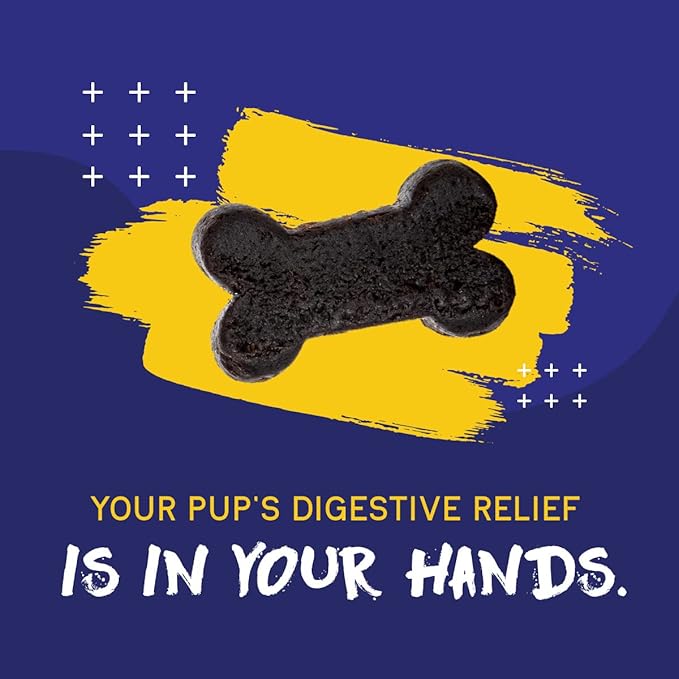 PupGrade Digestive Support Chews for Dogs - Prebiotic and Probiotic Supplement with Enzyme Blend - Upset Stomach, Diarrhea, Bowel, and Immune Support - Pumpkin, Blueberry, Mineral Oil - 360 Soft Chews