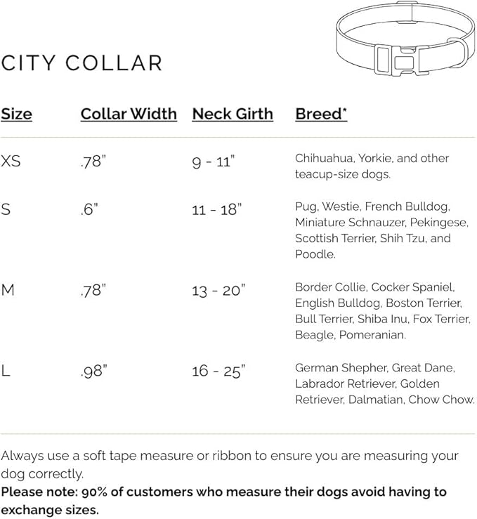 The Fi Rockstar Collar - Luxury Design Meets Smart Tech - Crafted for Fi Series 3/3+ - Seamless Style & Craft