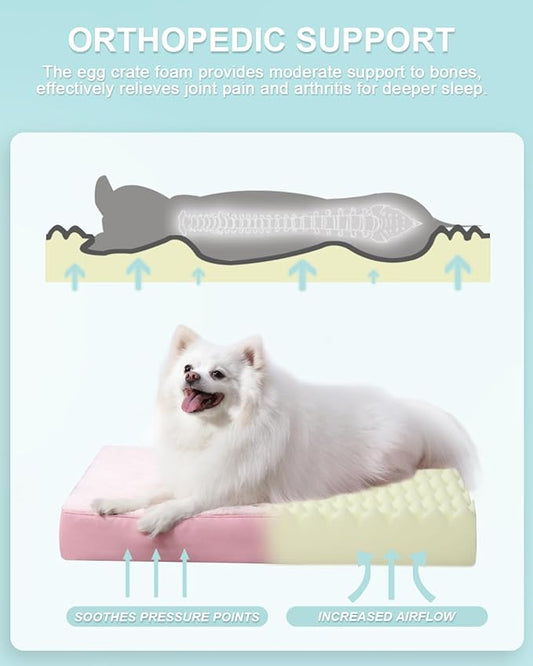 KSIIA Orthopedic Dog Bed Waterproof Pet Bed for Small Dogs Deluxe Plush Washable Dog Bed with Egg Crate Foam & Removable Cover, 23 x 17 Inch, Pink