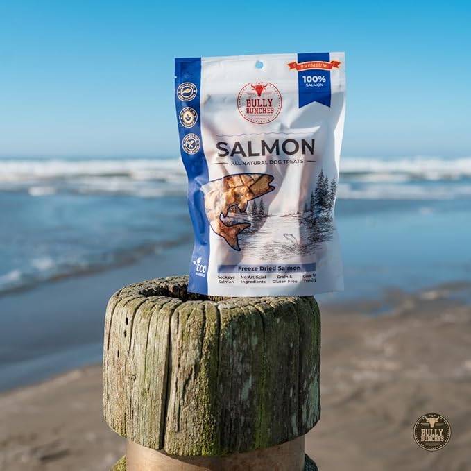 Bully Bunches Freeze Dried Salmon Dog Treats – Made in USA, Human Grade, All Natural Training Treats for Dogs, High Protein Salmon Bites, Healthy Dog Snacks, Grain Free, 3.53 oz