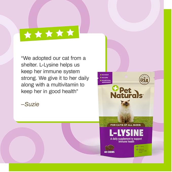Pet Naturals Lysine for Cats, Chicken Flavor, 60 Chews - Immune and Respiratory Support for Cats - No Wheat or Corn - Vet Recommended