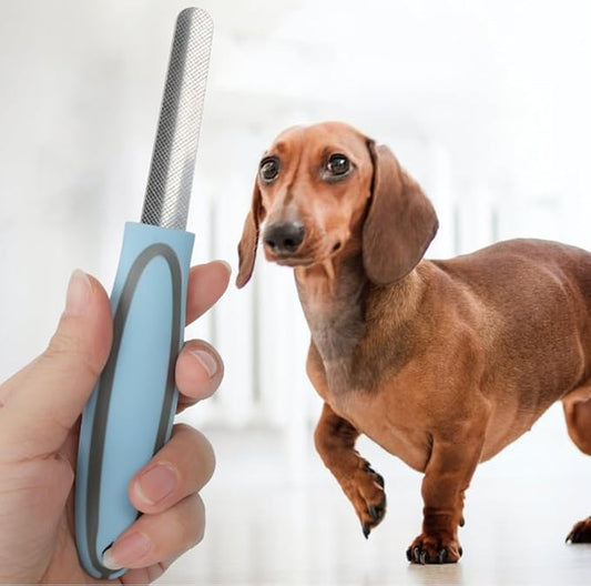Pet Nail Files for Dogs and Cats, Beauty Tools with Textured Metal Surfaces, pet Nail Clippers, pet Supplies, pet Nail Remover, Blue Handle, 6.49in Length