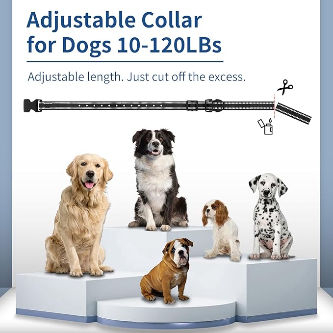 Dog Training Collar with Remote - 4900FT Dog Shock Collar for IP67 Waterproof with 4 Training Modes, Security Lock,Rechargeable E-Collar for All Breeds(10-120lbs)