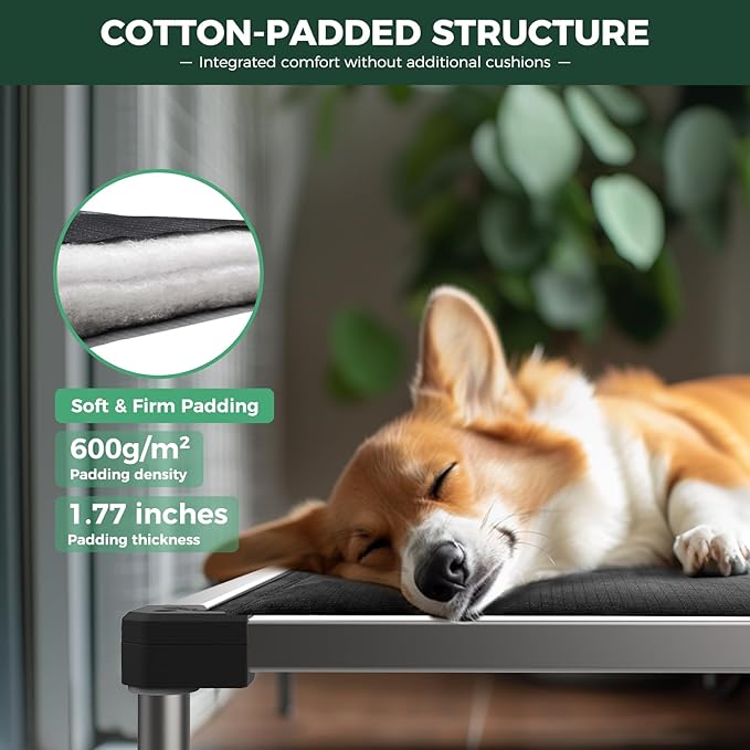 FXW TitanNest Chew-Proof Elevated Dog Bed, Raised Cot for Indoor/Outdoor/Camping Use, Durable & Washable Padded Pet Bed with Exclusive Cover for Medium Dogs, 41.0" L x 27.0" W x 5.0" H, Black