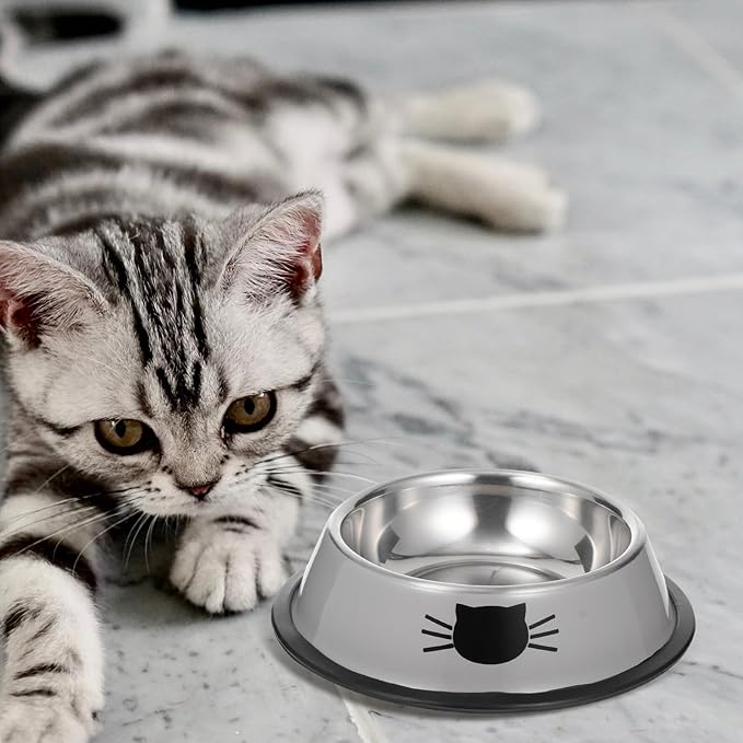 COHEALI Thickened Double Bowl Pet Feeder Set Stainless Steel Dog Bowl Cat Water Dish for Puppies and Kittens Indoor Feeding Supplies