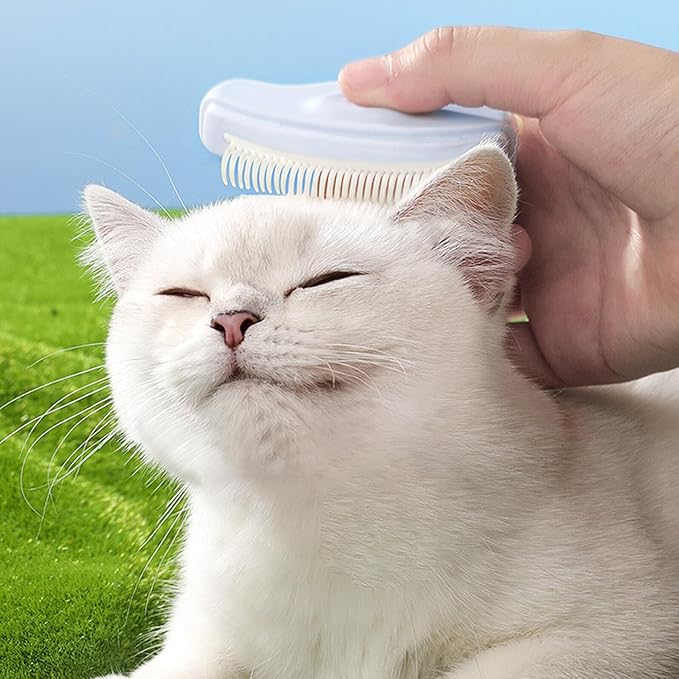 Toyvian 2pcs Cat Grooming Combs for Indoor Cats and Dogs, Detangling Pet Hair Removers with Blue Handle, Knot and Matted Fur Remover for Pet Hair Cleaning and Shedding