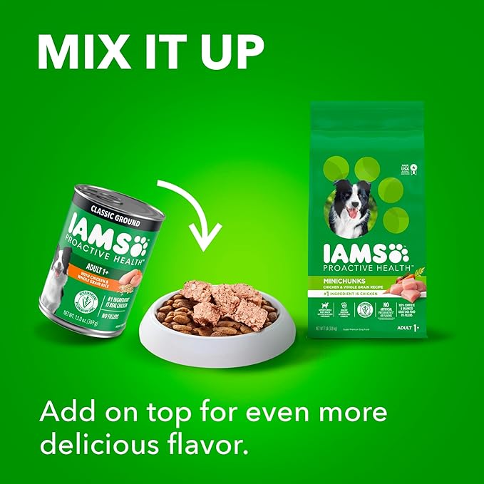 IAMS Proactive Health Adult Wet Dog Food Chicken Chunks in Gravy or Beef Chunks in Gravy, 13 oz. Cans (12 Count, Pack of 1)