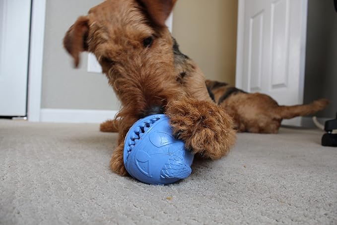 Jolly Pets Monster Ball - Blue - 3.5" (MB35) (Pack of 2)