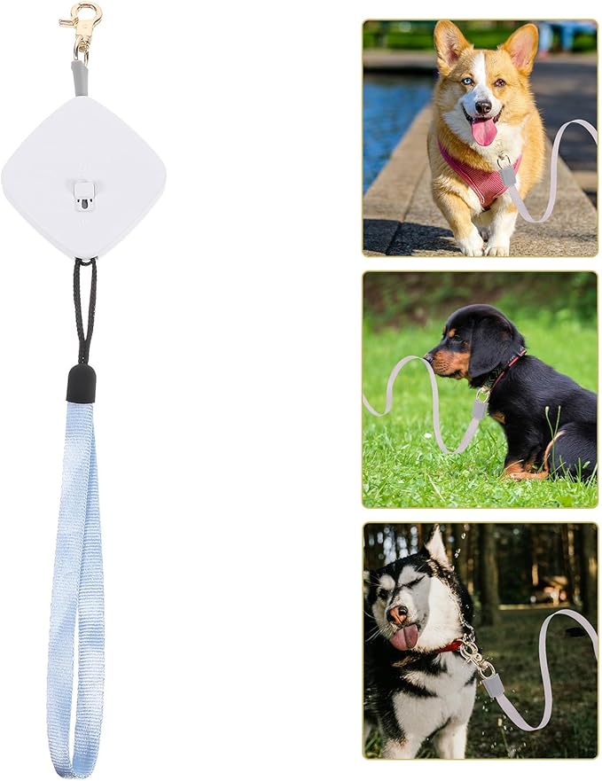 Retractable Dog Leash Nylon Pet Supply Automatic Telescopic Mini Leash for Small Dogs Walking Training Random Color