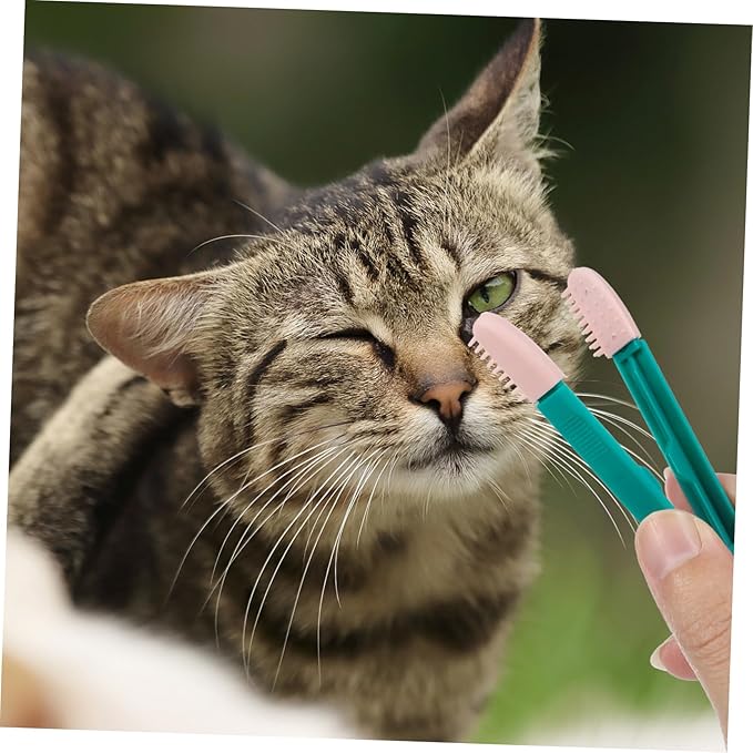 Supple Kitten Comb Cat Grooming Brush Cleaning Brush for Cat Tear Stains