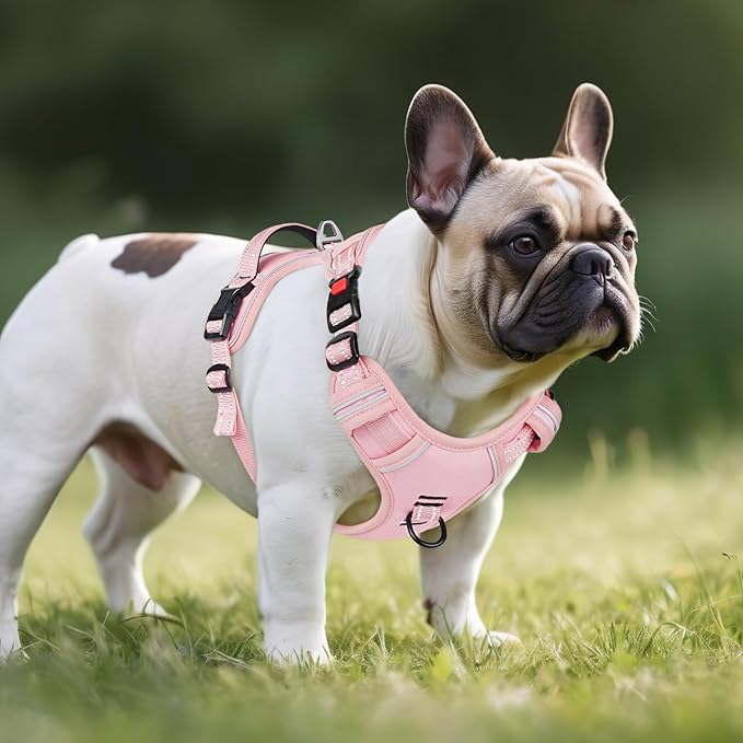 Timos Dog Harness Small Sized, No Pull Pet Harness with Neck Lockable Snap,No Choke Front Clip Dog Reflective Vest,Adjustable Metal Rings 3 Buckles,Easy Control Handle for Small Dogs Lock Pink S