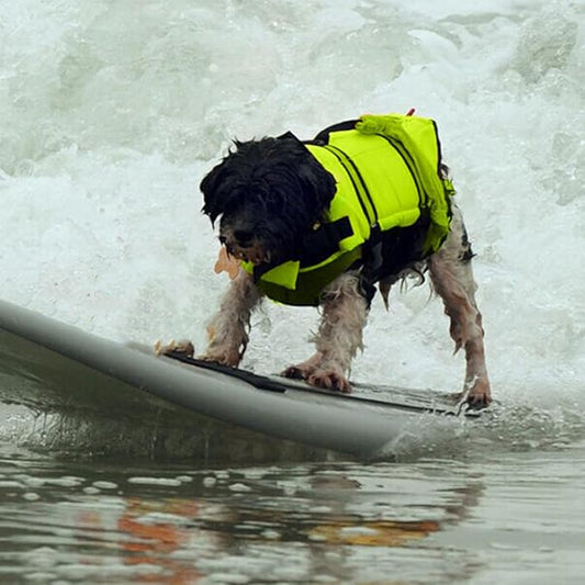 Dog Life Jacket - High Visibility Dog Life Vest, Puppy Rescue Vests, for Swimming & Boating Polyester Pet Supplies for Pool Lake Kayaking Large Small Breeds Puppy Doggy Pool Dock Beach