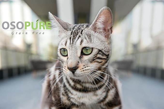 ARTEMIS Osopure Wet Canned Cat Food (Wholesome Tuna, 24 Cans)
