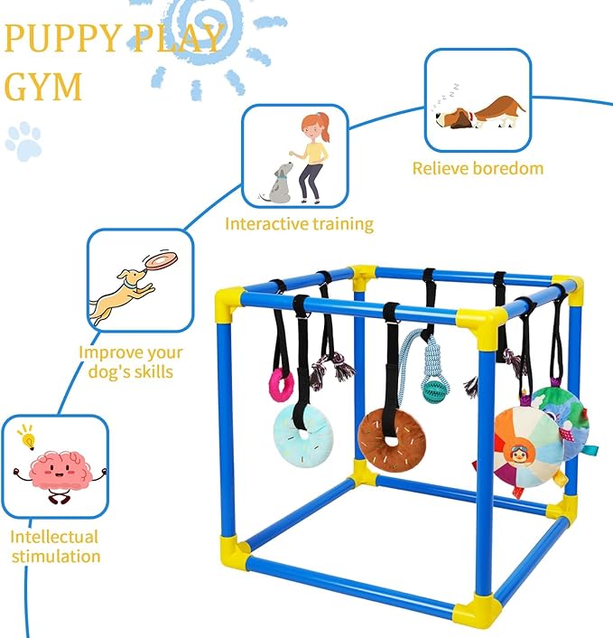 Liitrton Puppy Play Gym - Small Dogs Play Gym with 8 Hanging Toys, Indoor Puppy Jungle Gym with Interactive Dog Enrichment Toys, 19.5"x19.5"x19.5" PVC Frame (Blue)