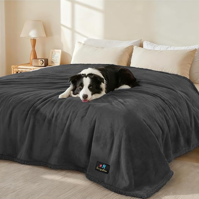Luciphia Waterproof Pet Blanket, Liquid Pee Proof Dog Blanket for Sofa Bed Couch, Reversible Sherpa Fleece Furniture Protector Cover for Small Medium Large Dogs Cats, Black Queen Size(90" x 82")