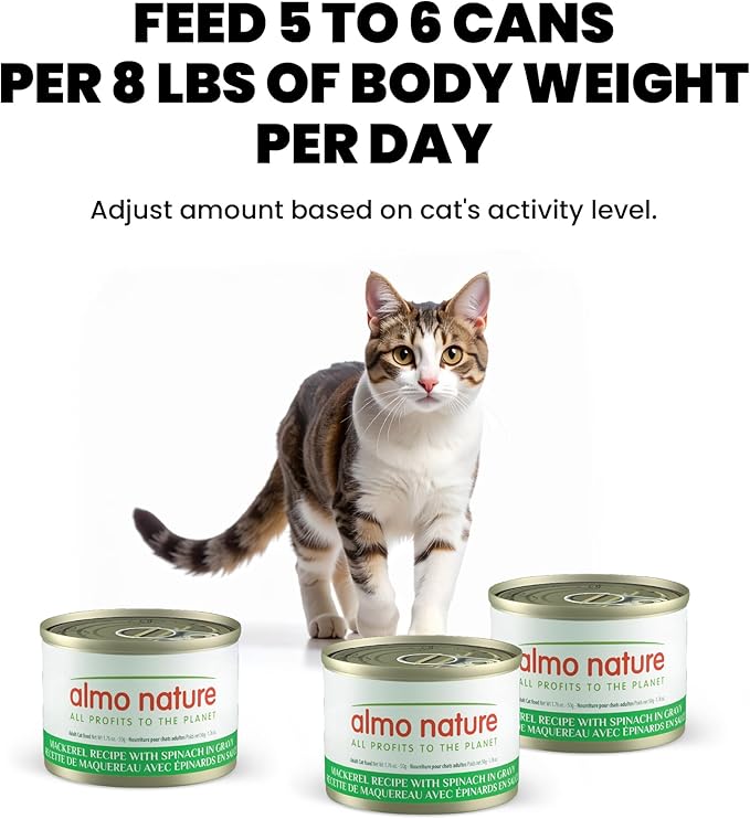 almo nature Supportive Formulas Digestive Support Formula HQS Flaked Mackerel & Spinach in Gravy Wet Cat Food, 1.77-oz can, case of 6
