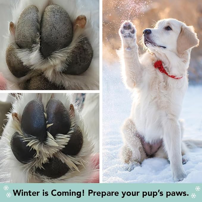 Natural Dog Company PawTection Dog Paw Balm, 4 Pack, Protects Paws from Hot Surfaces, Sand, Salt, & Snow, Organic, All Natural Ingredients (0.15 oz Travel Stick) X 4