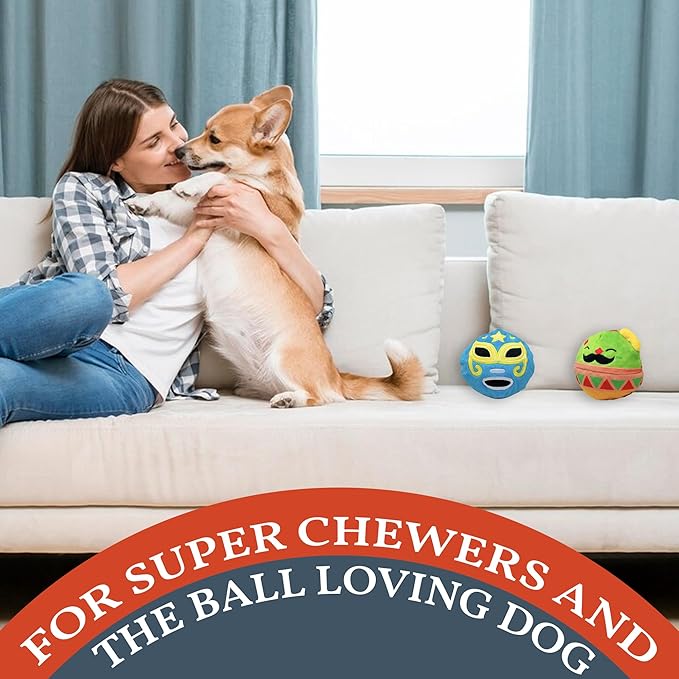 Flourish Pets 2 in 1 Multi-Layer Chew Toy for Active Dogs | Non-Toxic BPA Free Double Stitched Soft Fabric Exterior Dog Toys | Long-Lasting Dog Plush Toys ā Cinco de Mayo 3.5" (2 Pack)