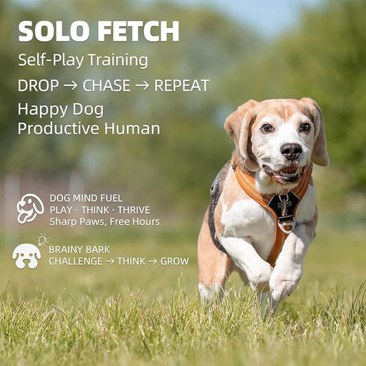 Automatic Dog Ball Launcher-Small Silent Dog Ball Thrower, 3 Adjustable Distances (20ft/33ft/46ft), Rechargable,Includes 3 Durable 2.3" Balls for Small/Medium Dogs (Yellow, Medium)